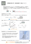 MBT-24/RBT-24 Drug Permeability Assay Protocol