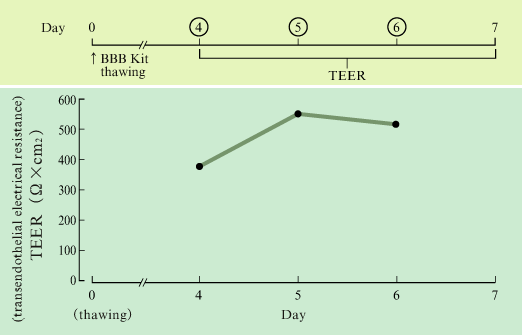 BBBキット™ (RBC-12) の経内皮電気抵抗（TEER）